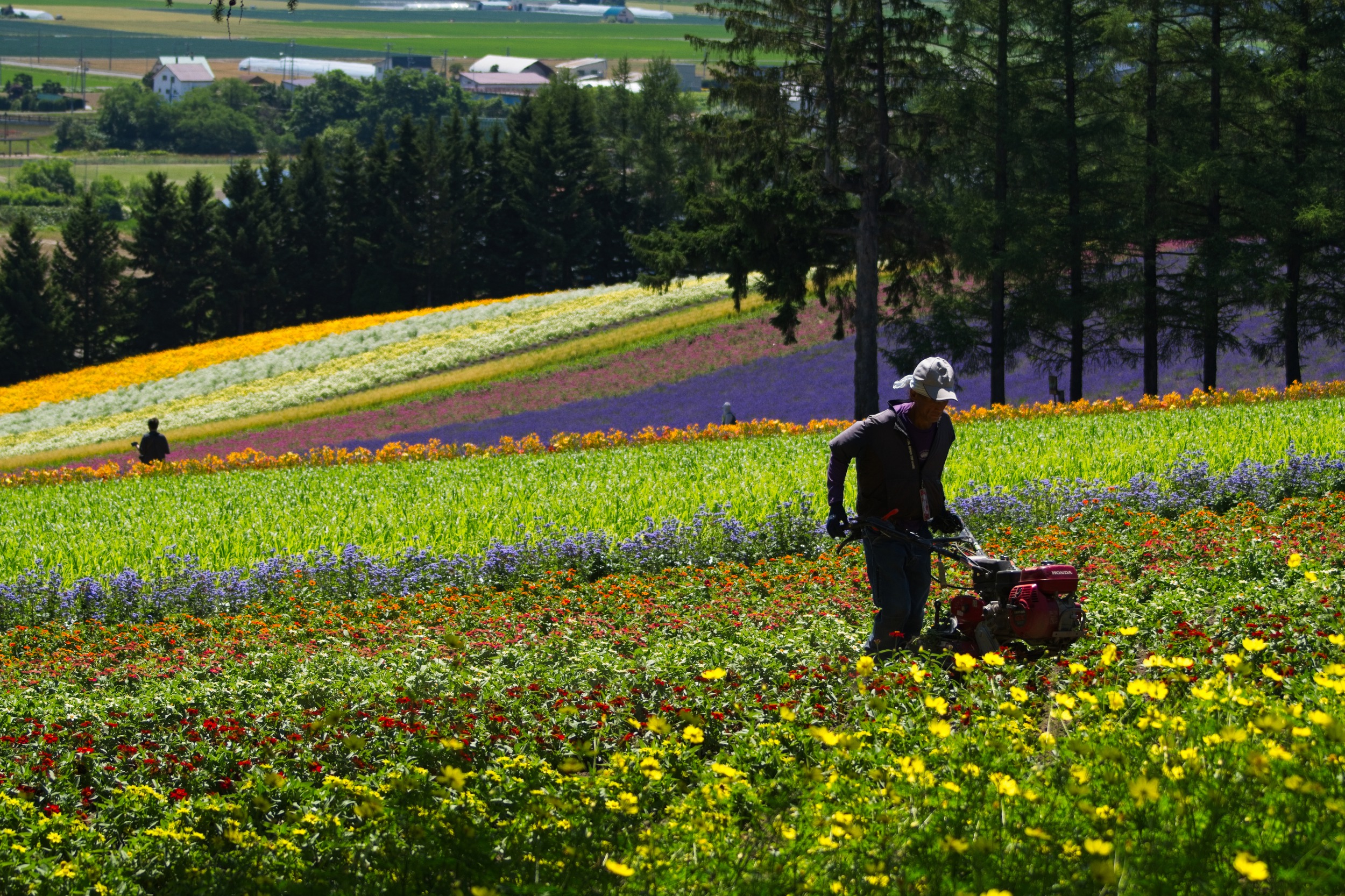 Colorful Hokkaido